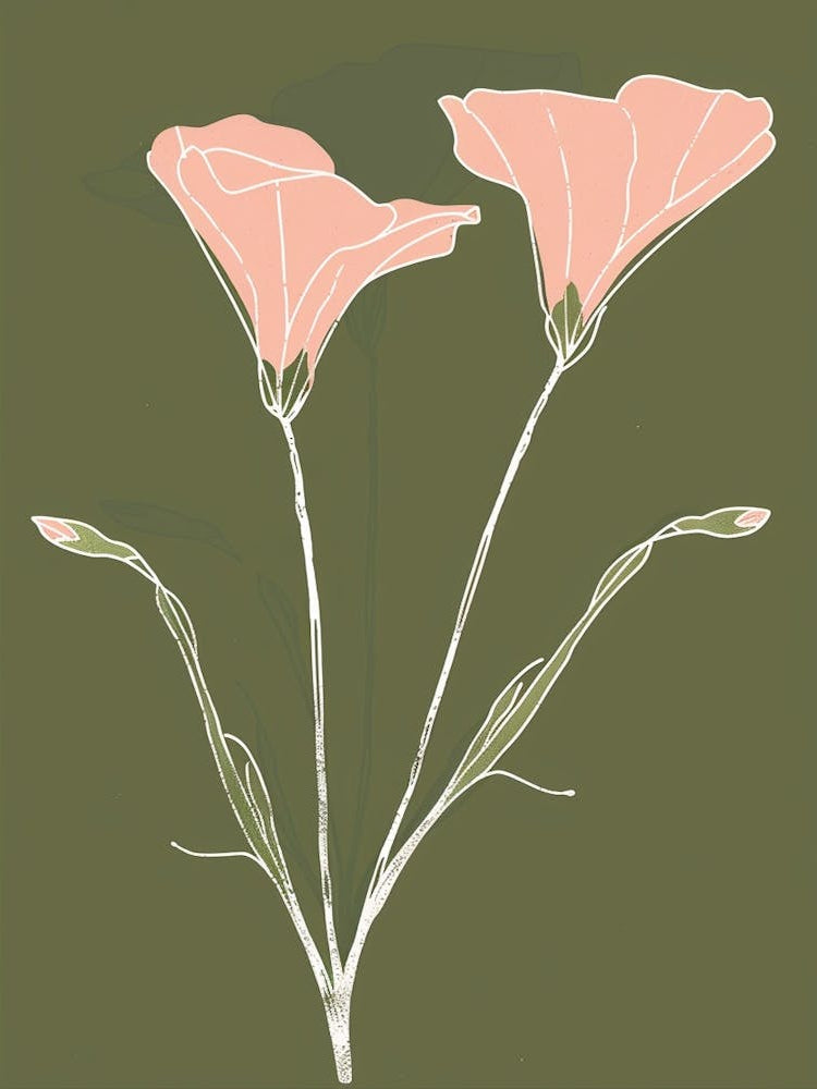 Pink & Green Lisianthus 1