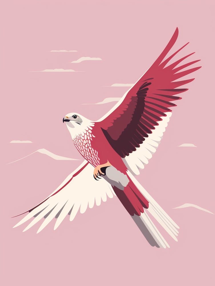 Minimalist Falcon 3 Illustration