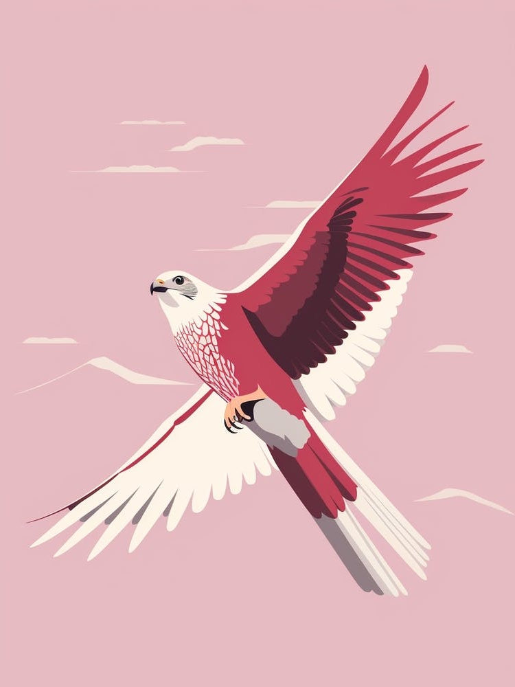 Minimalist Falcon 3 Illustration