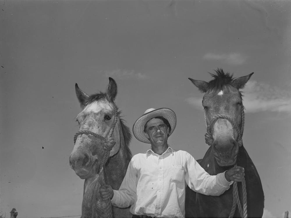 Ernest W, Kirk Jr, with team of mules which was bought with FSA (Farm Security Administration) loan