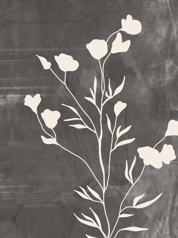 Wildflowers In Gray, Minimalist Botanical 2