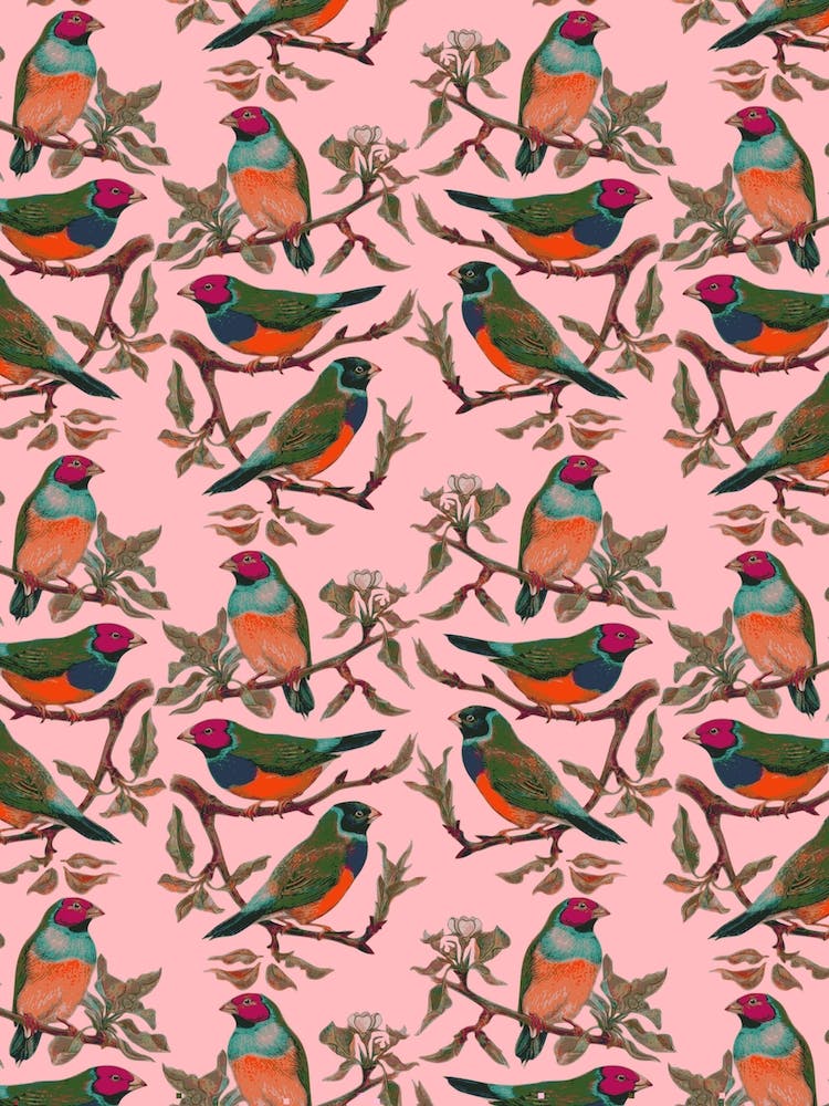 Birdiya