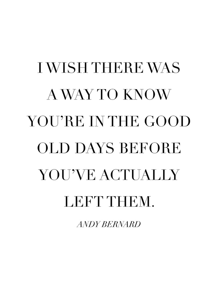 The Good Old Days Andy Bernard Quote