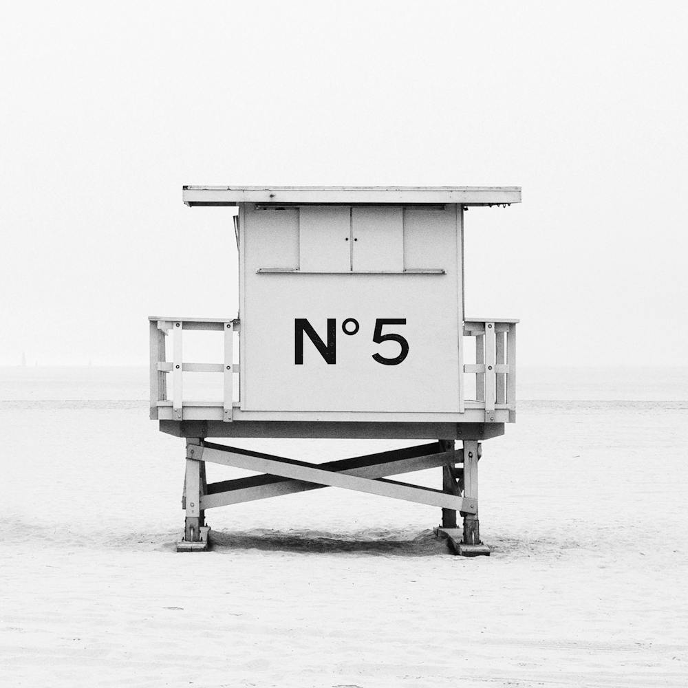 Lifeguard N° 5