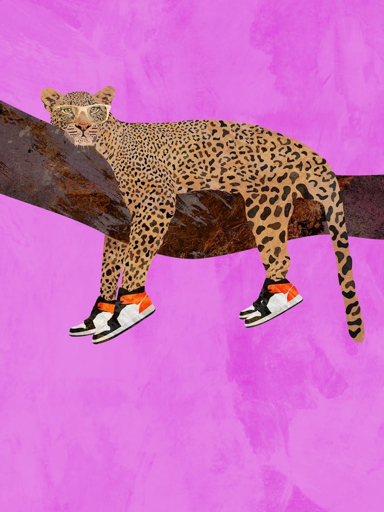 Leopard On A Branch Wearing Shoes