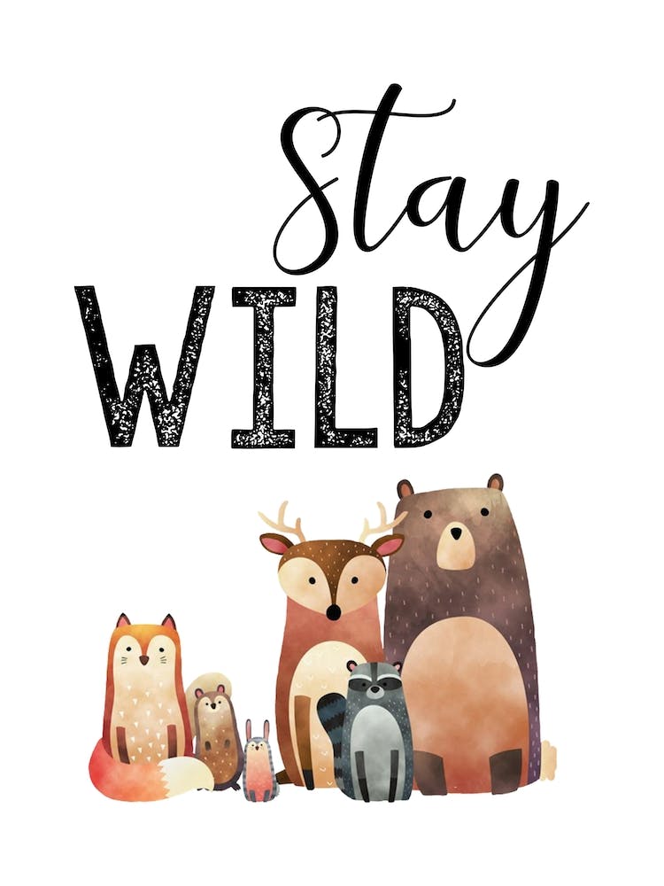 Stay Wild