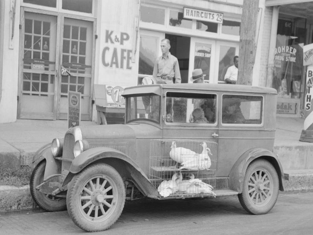 Geese In Pen On Side Of Car, Market Square, Waco, Texas By Russell Lee