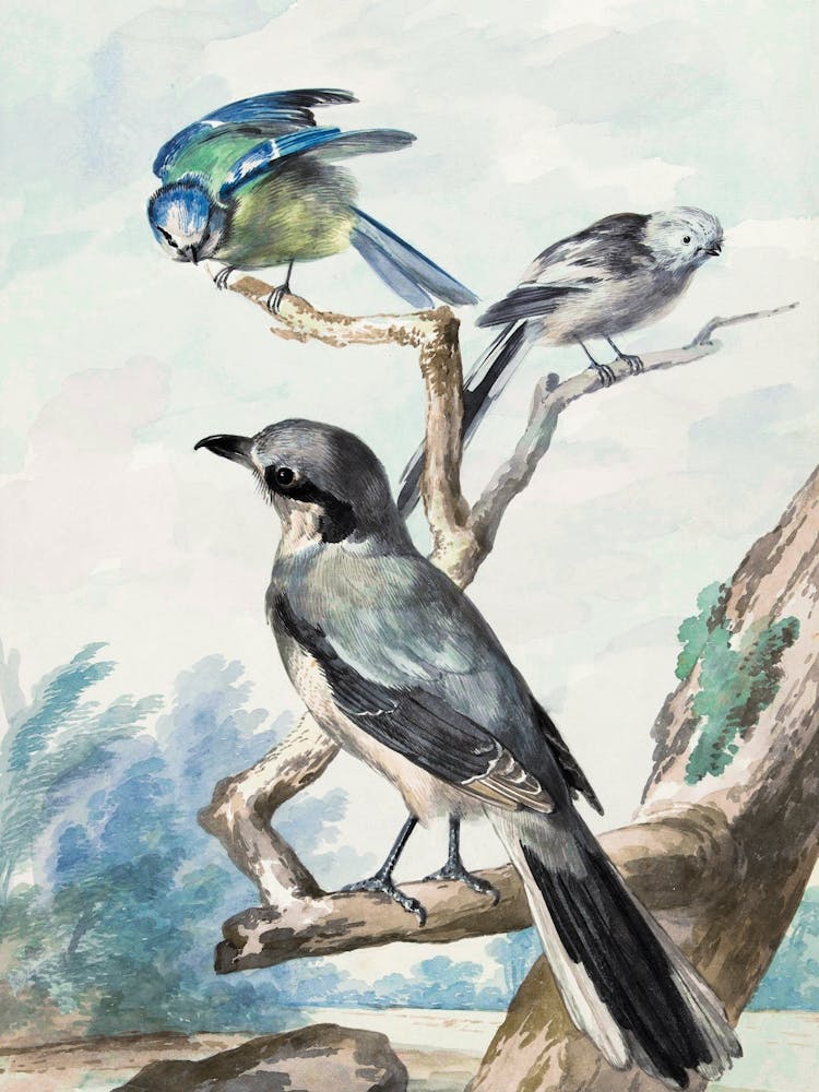 Vintage Bird_2835716