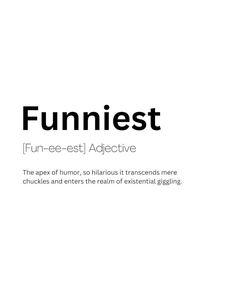Funniest Definition Meaning 1