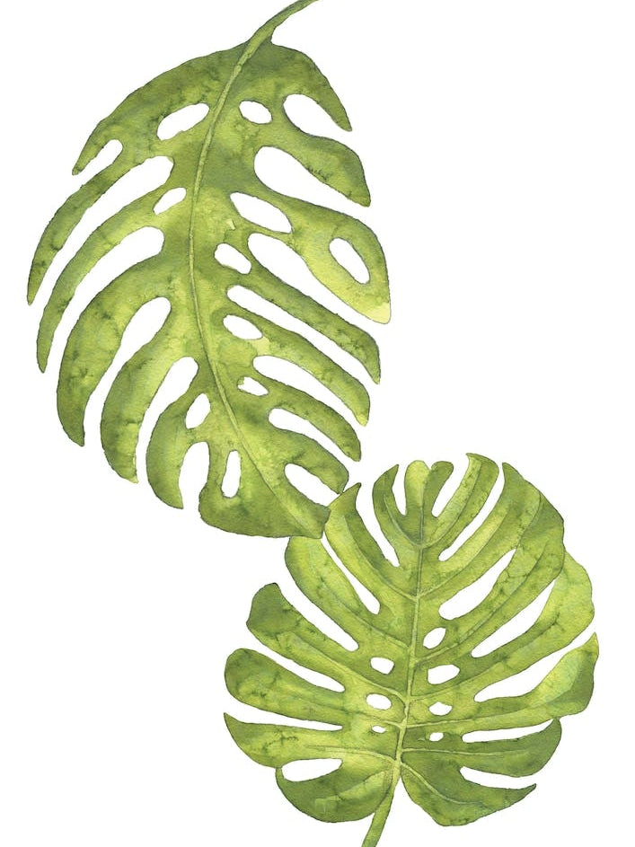 Two Green Floral Leafs