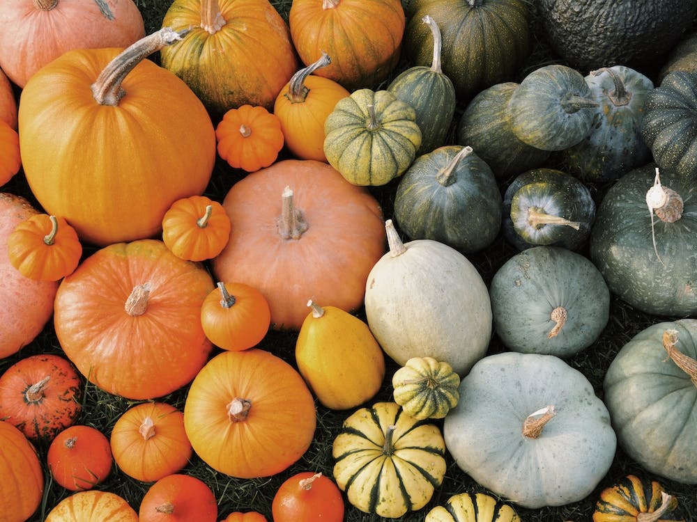 Pumpkins And Squash