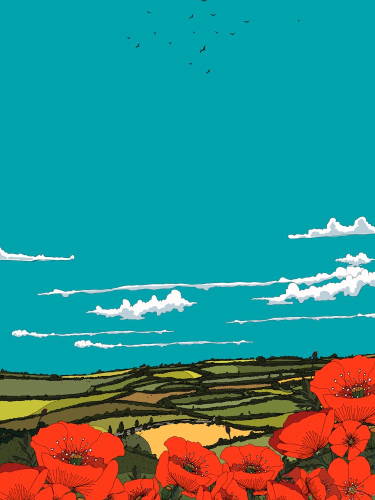 Poppies In The Field 1