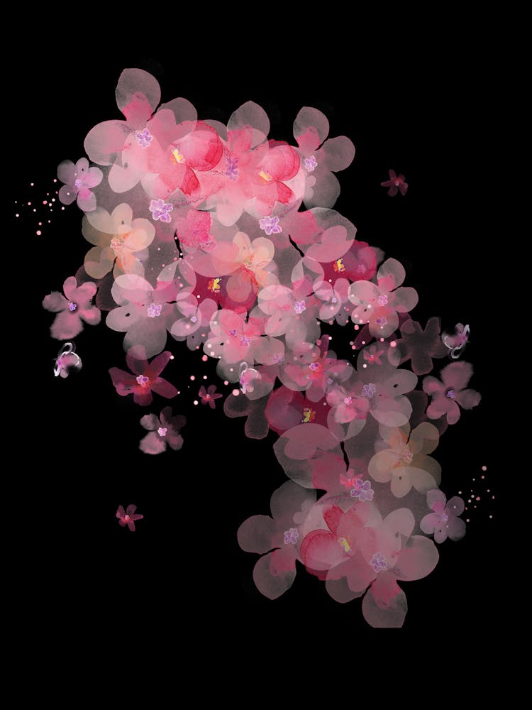 Sakura Blossoms 7