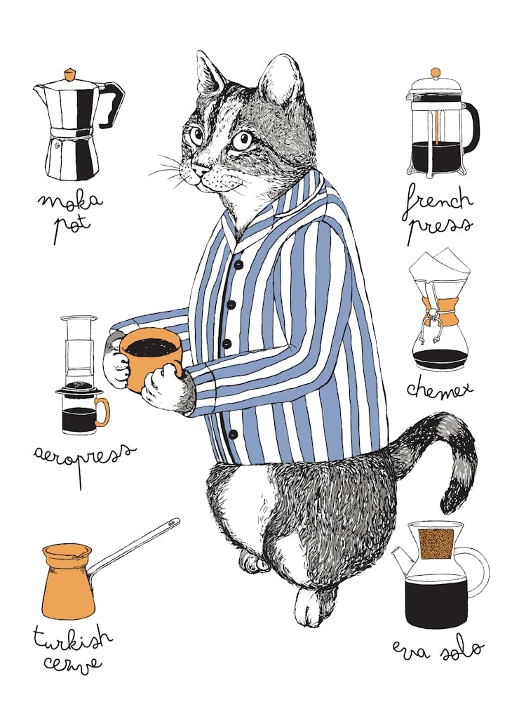 Café-Katze