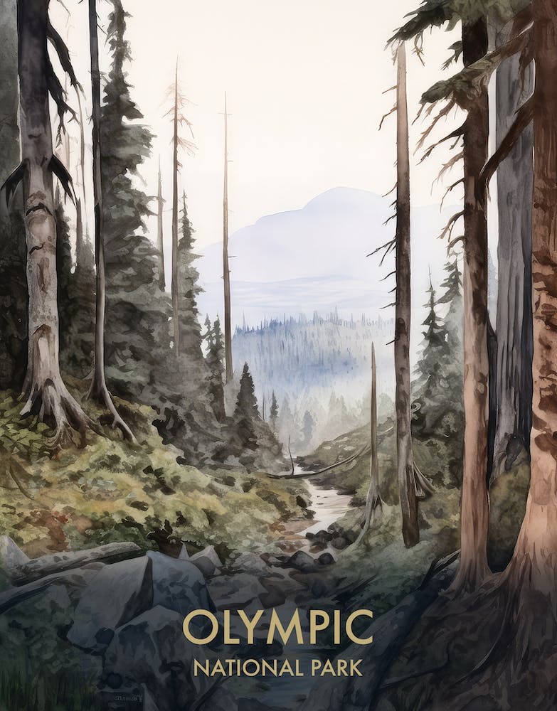 Olympic National Park Watercolour Vintage Travel Poster 1