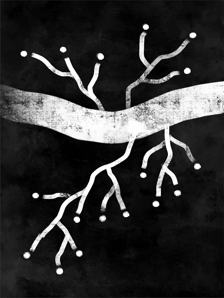 Tree Of Life 2