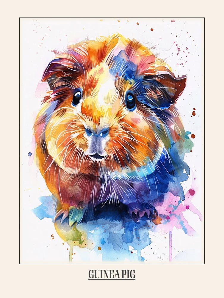 Guinea Pig Colourful Watercolour 2 Poster