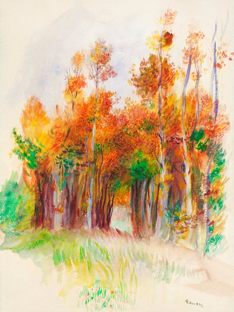 Grove Of Trees, Pierre Auguste Renoir
