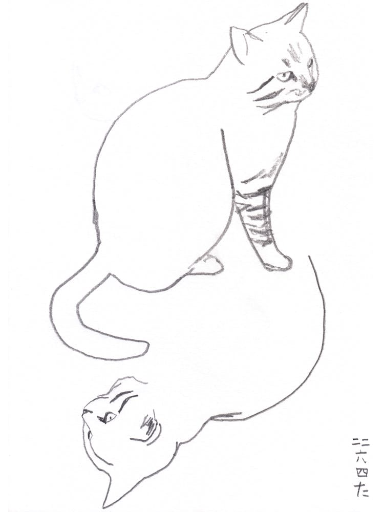 I Am A Cat