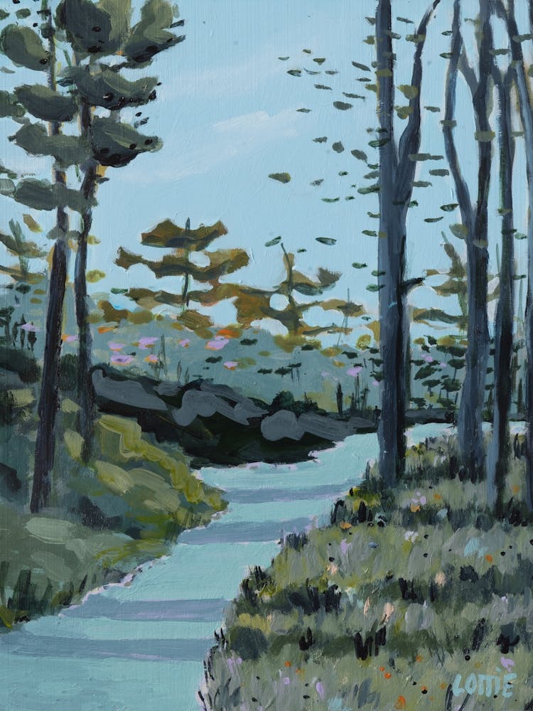 Path In The Woods
