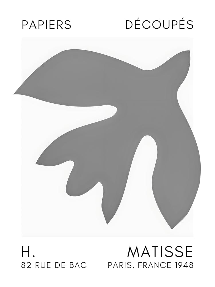 Matisse 6