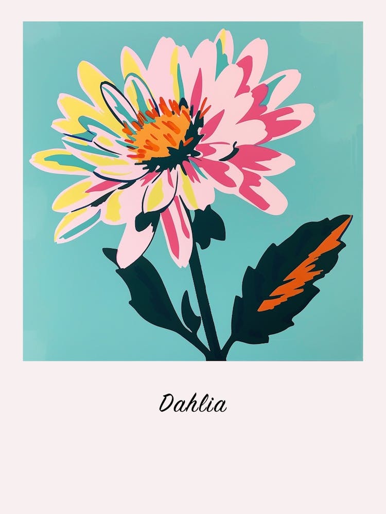 Dahlia 2 Square Flower Illustration Poster