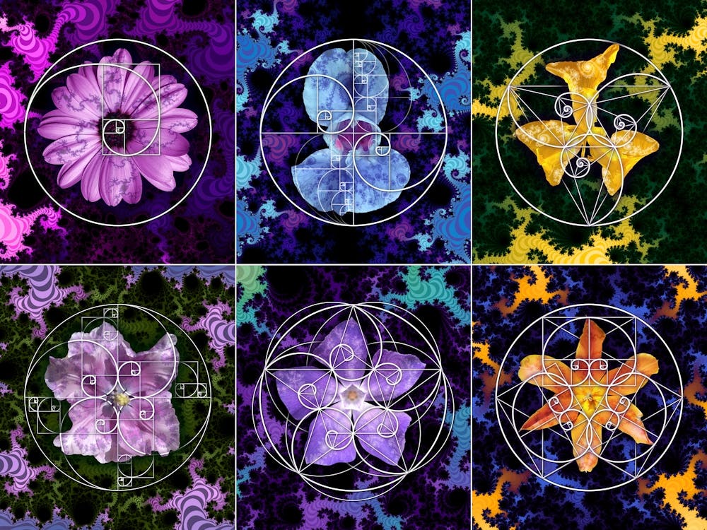 Fibonacci Spiral Fractal Flower Mosaic