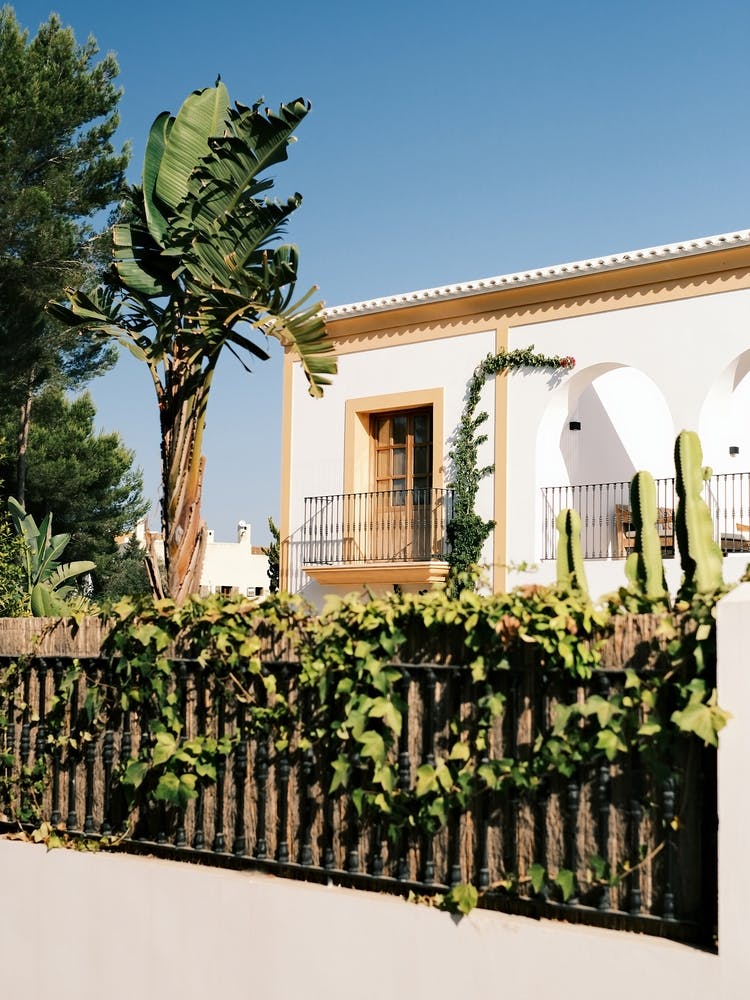 White House & tropical garden // Ibiza Travel Photography