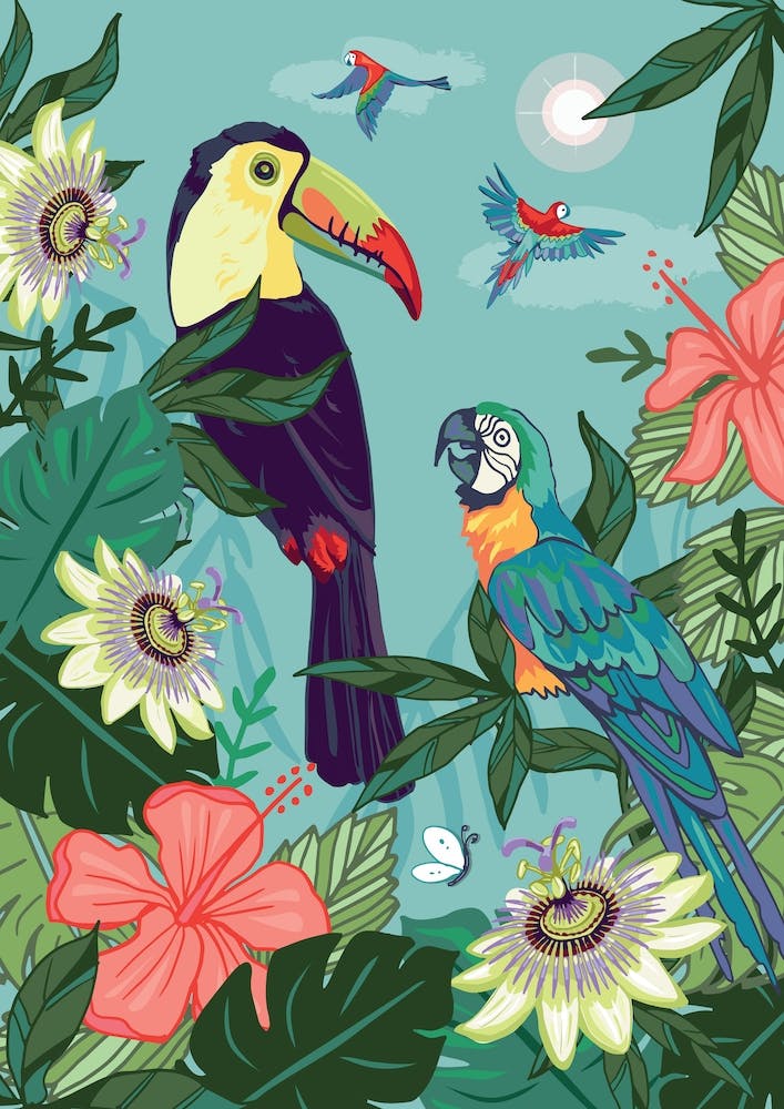 Toucan And Parrots