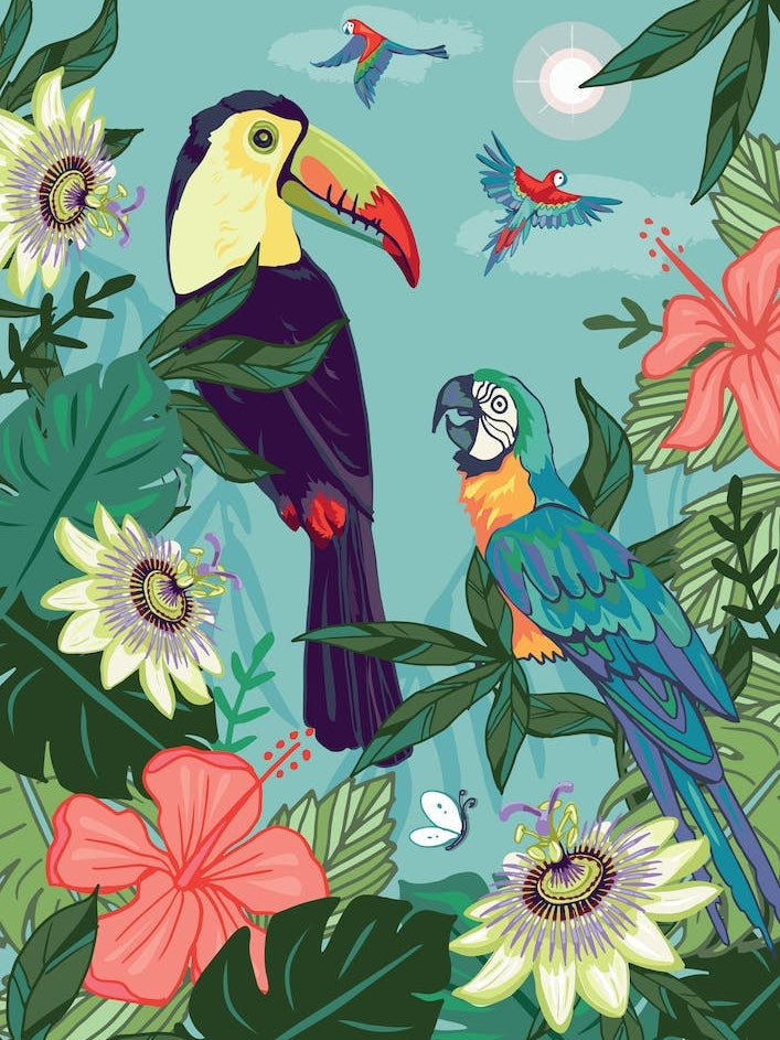 Toucan And Parrots