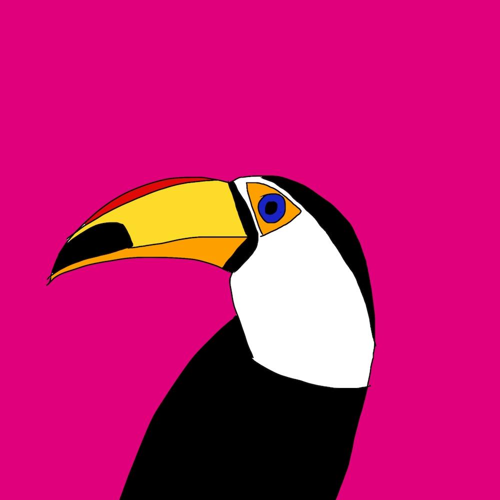 Terrence The Toucan Square