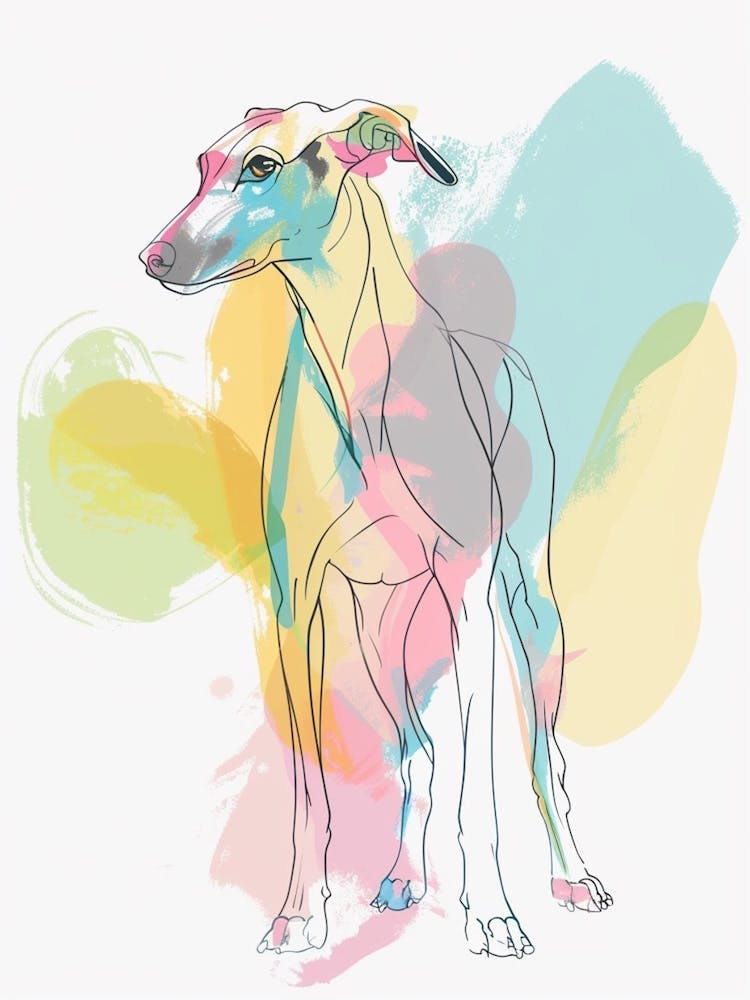 Greyhound Hund Pastell Linie Aquarell Illustration 2