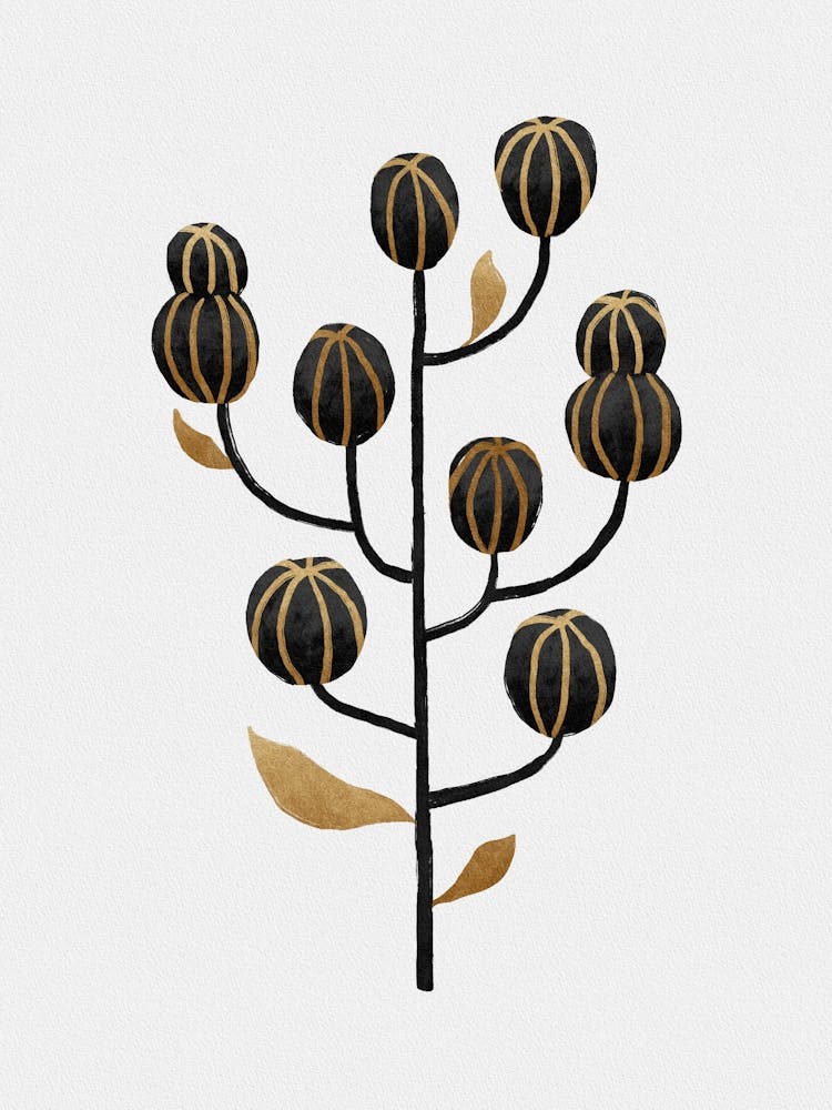 Black Gold Still Life I