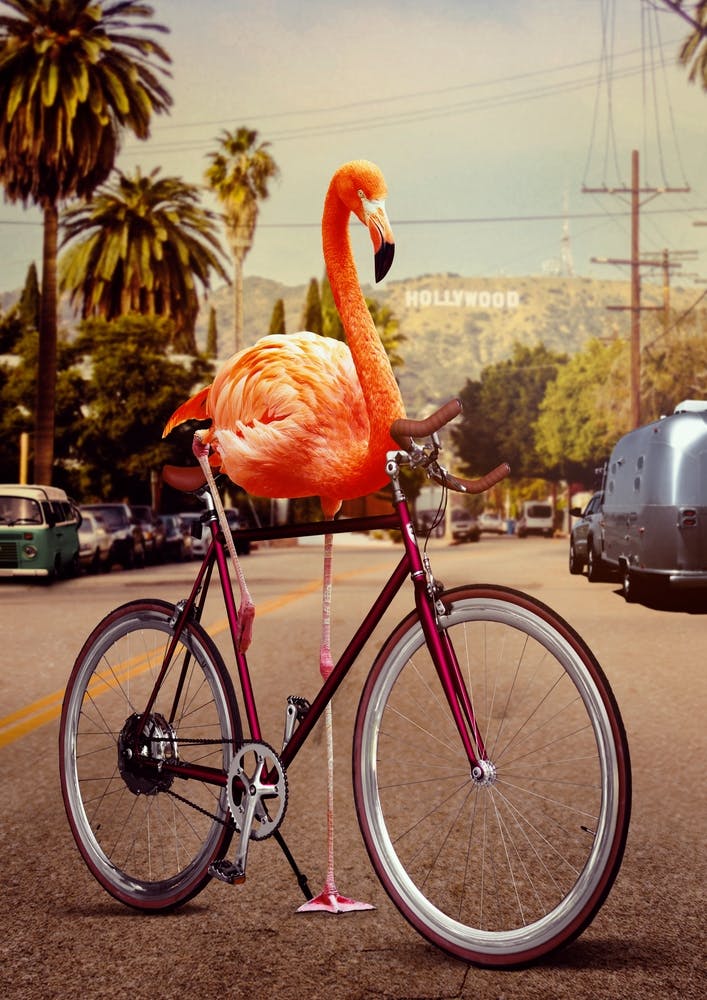 Nothing is Impossible