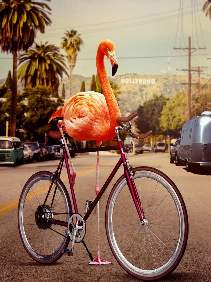 Nothing is Impossible