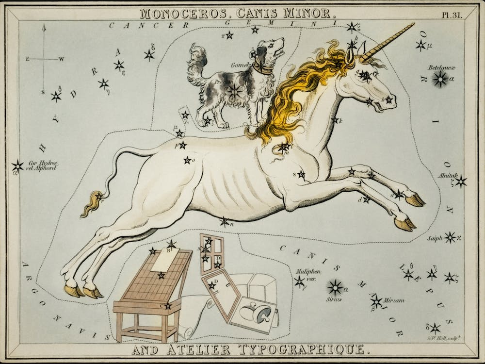 Monoceros Canis Minor, Sidney Hall