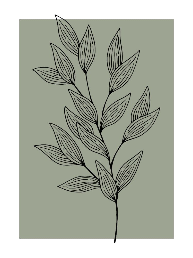 Drawing Of A Leaf