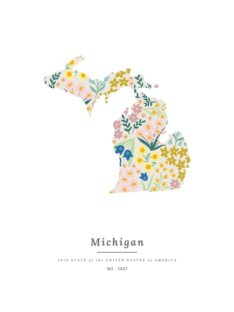 Michigan | Wildflower Mix