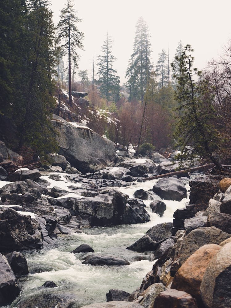 Rocky Mountain River Hideaway