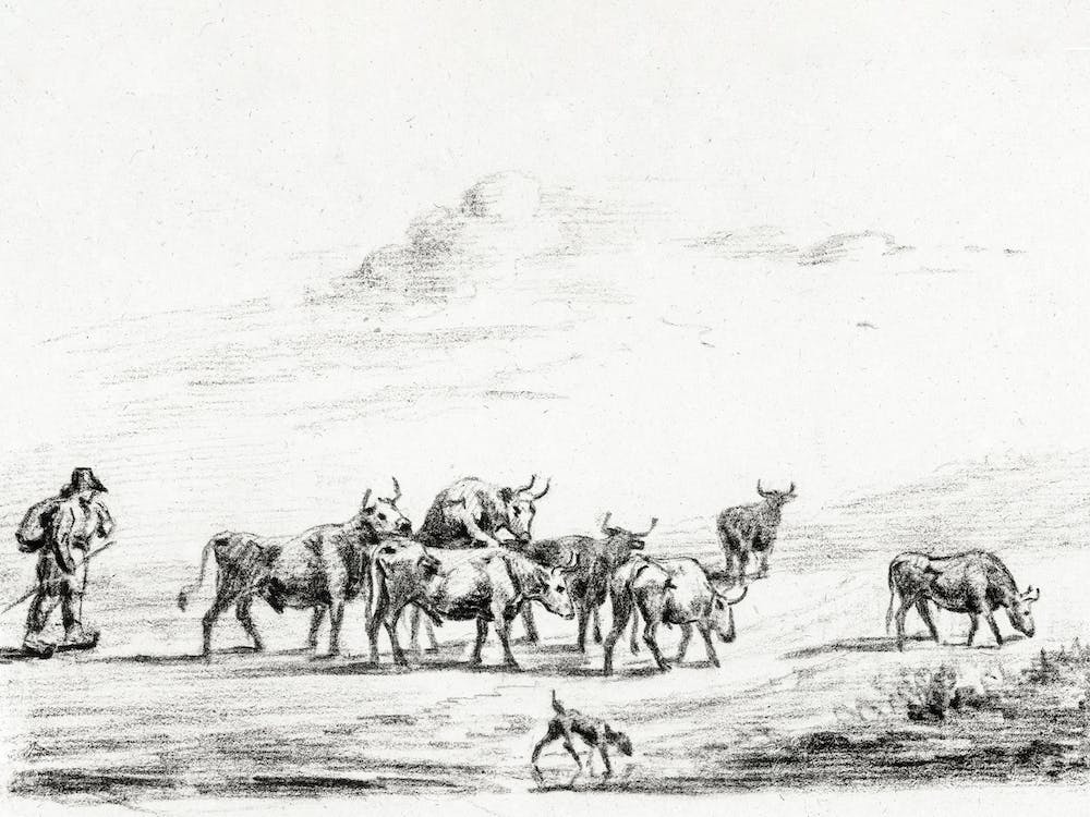 Cow Driver With A Group Of Cattle, Jean Bernard