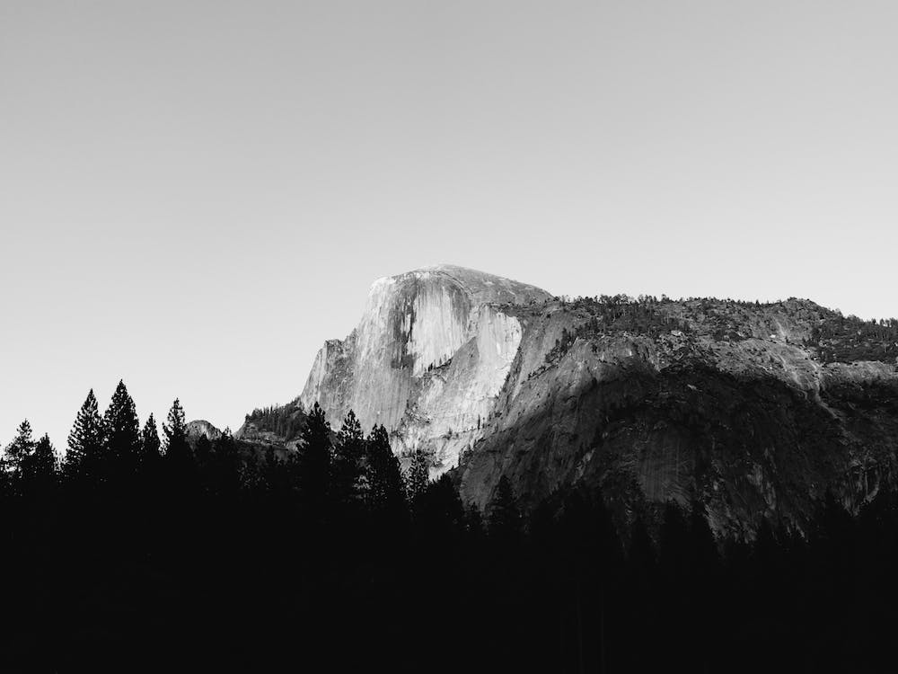 Yosemite National Park VIII