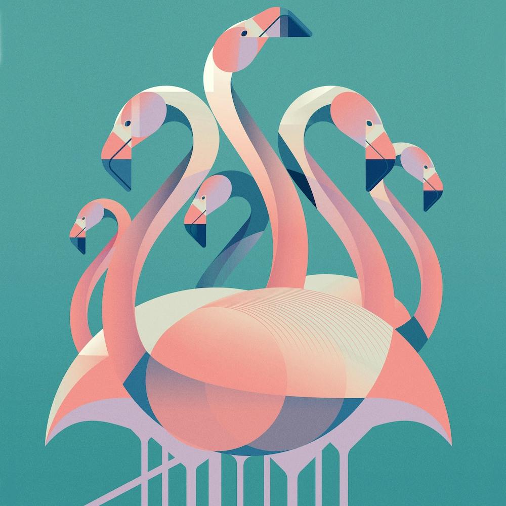 Flamant Rose Américain Carré
