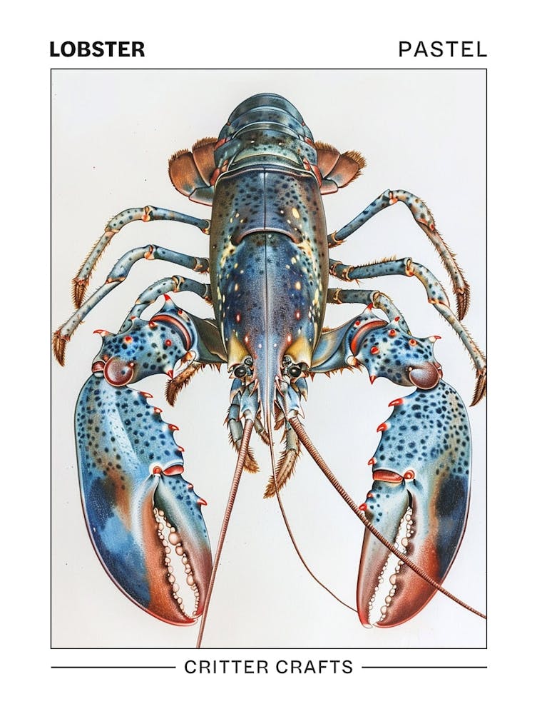 Homard Aquarelle Pastel 1 Affiche