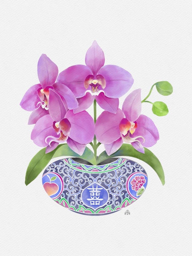 Orchid in Asian Vase
