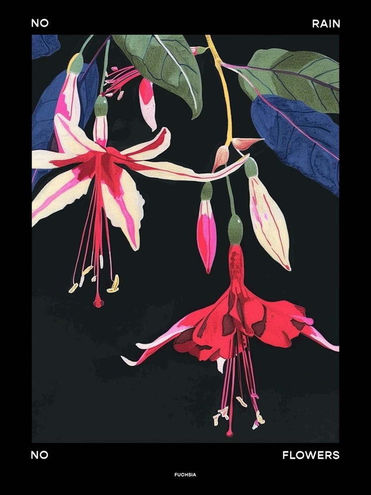 No Rain No Flowers Poster Fuchsia 4