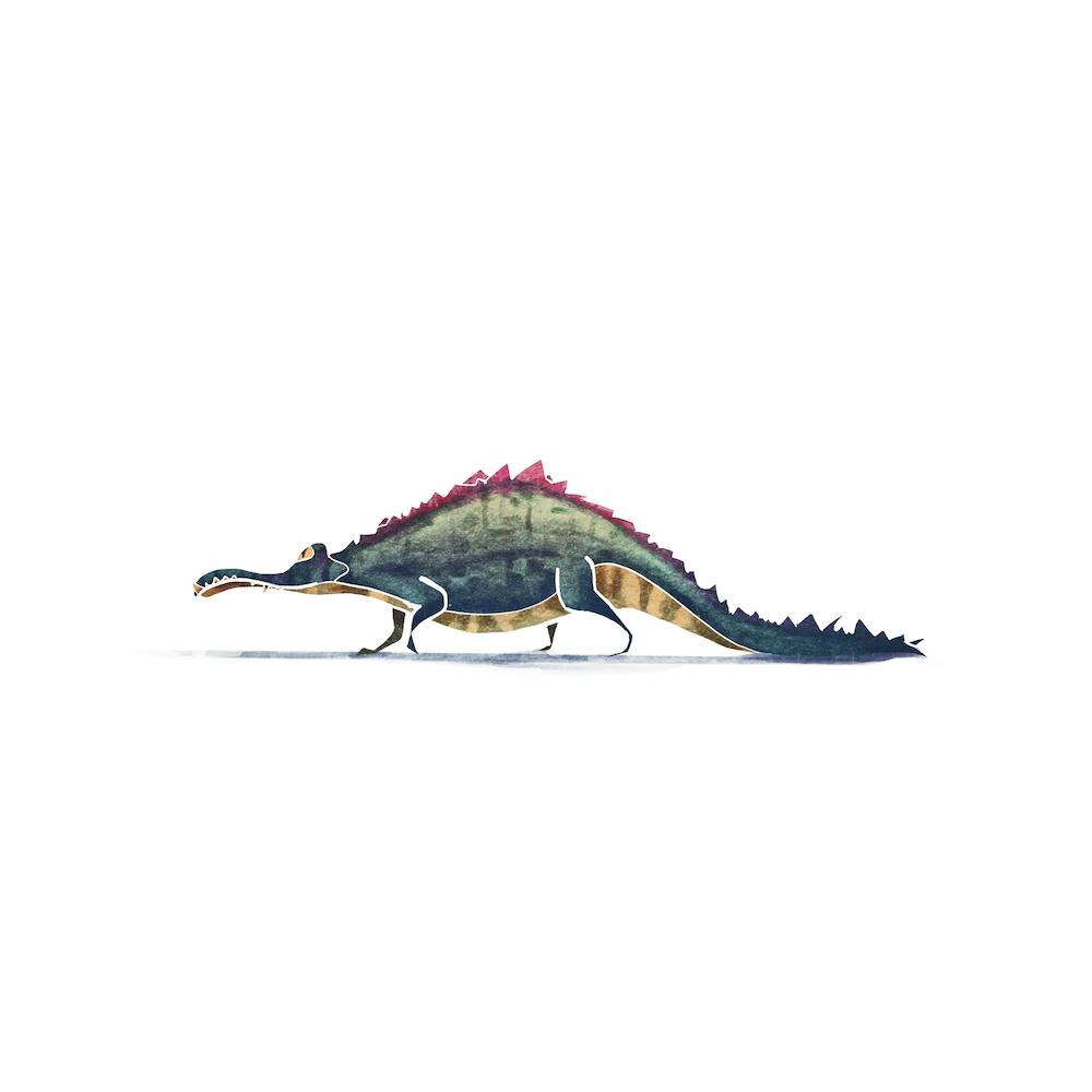 Alligator