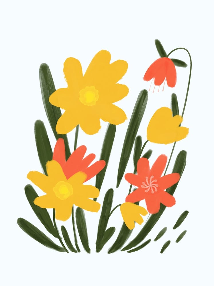 Daffodils