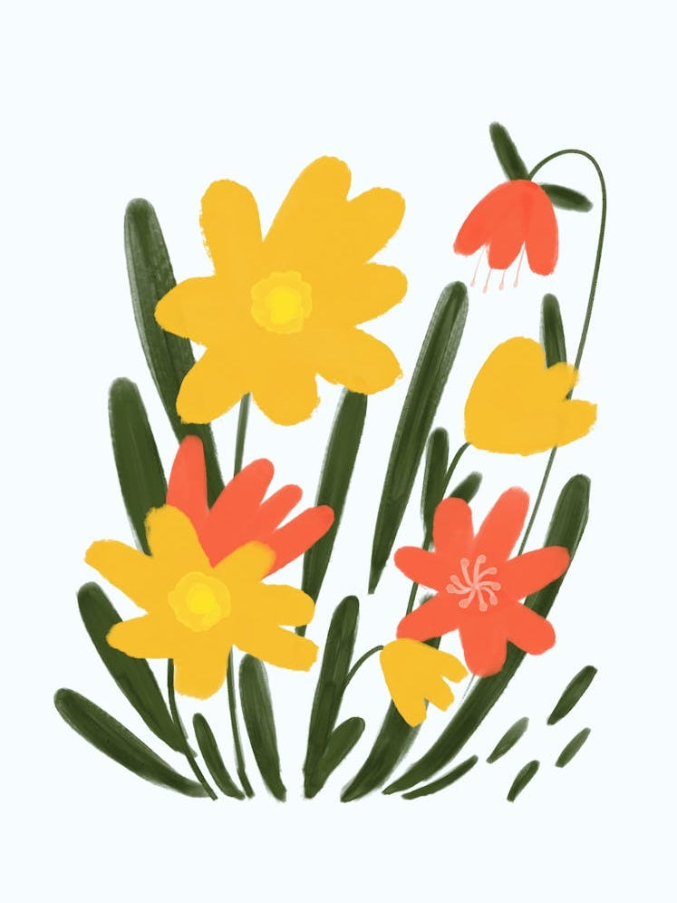 Daffodils