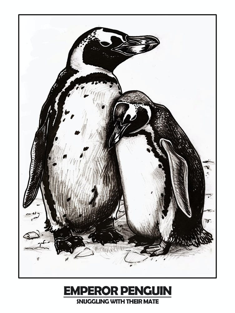 Penguin Snuggling With Their Mate Poster 2