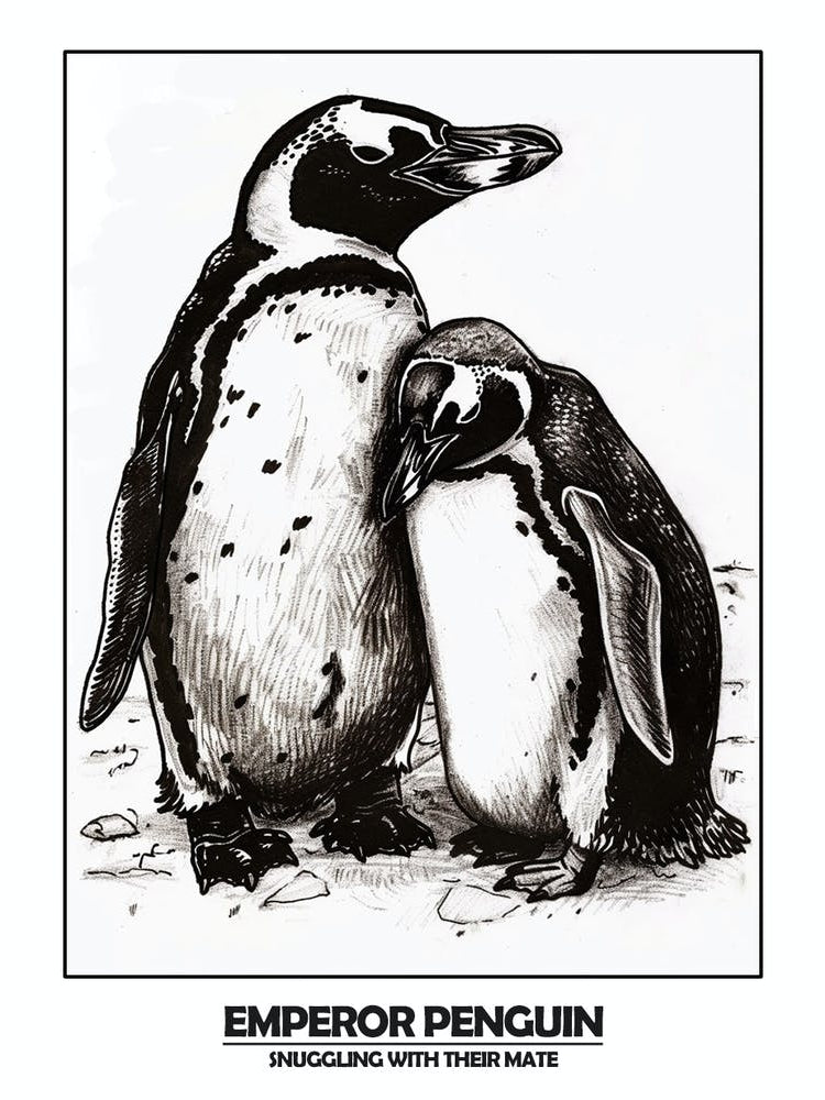 Penguin Snuggling With Their Mate Poster 2